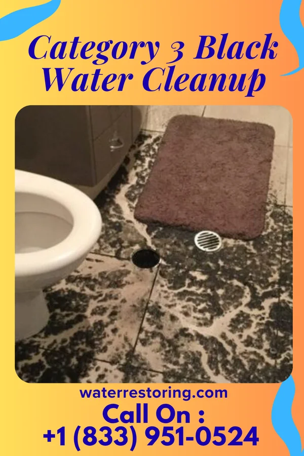 Category 3 Black Water Cleanup in Memphis, AL