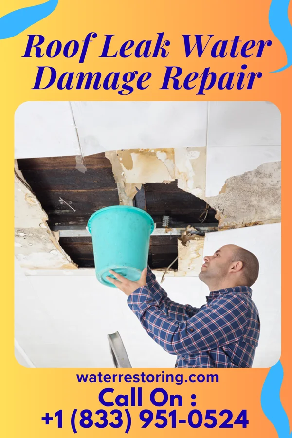 Roof Leak Water Damage Repair in Memphis, AL